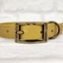 Waterproof Dog Collar And Lead Set Gold, thumbnail 2 of 3