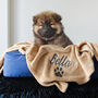 Personalised Neutral Pet Blanket, thumbnail 1 of 5
