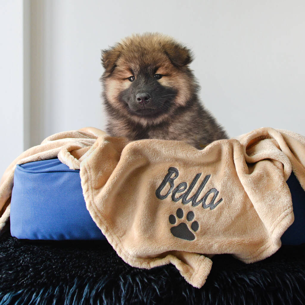 Personalised Neutral Pet Blanket, 1 of 5