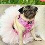 Dog Harness | Pink Princess, thumbnail 10 of 12