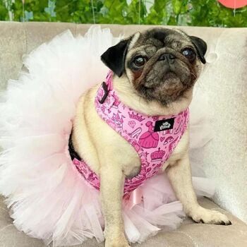 Dog Harness | Pink Princess, 10 of 12