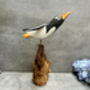 Handmade Wooden Cliff Diving Penguin Sculpture Ornament, thumbnail 10 of 11