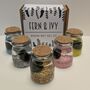 Marimo Moss Ball Kit Plant Lover Gift, thumbnail 2 of 9