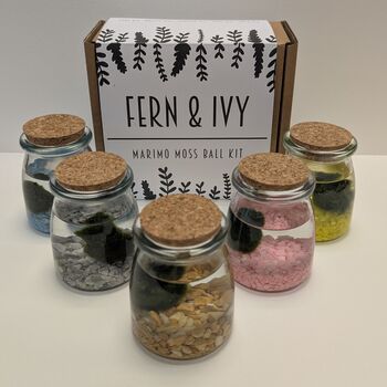 Marimo Moss Ball Kit Plant Lover Gift, 2 of 9