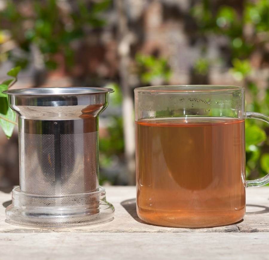 Loose Leaf Tea Glass Infuser Mug By Bird & Blend Tea Co