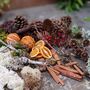 Natural Christmas Floristry Display Box, thumbnail 8 of 11