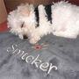 Personalised Embroidered Fleece Pet Dog Blanket, thumbnail 1 of 8