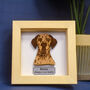 Personalised Pet Memorial Framed Wooden Engraving, thumbnail 9 of 12