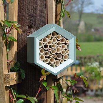 Bee House, 2 of 5