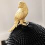 Box Parrot, thumbnail 2 of 7