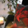 Poinsettia Cushion Cover Charcoal, thumbnail 8 of 8