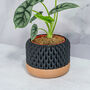 Carbon Ananas Planter, thumbnail 2 of 4