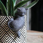 Swinging Cat Pot Hanger Ornament, thumbnail 1 of 2
