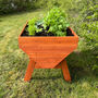 Raised Vegetable Herb Wooden Planter With Three Liners, thumbnail 2 of 8