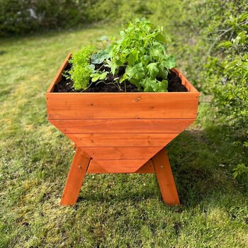 Raised Vegetable Herb Wooden Planter With Three Liners, 2 of 8