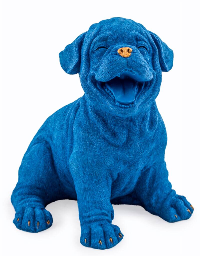 Royal Blue Laughing Puppy With Gold Details