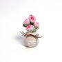 Large Plant Pot Collection, thumbnail 7 of 9