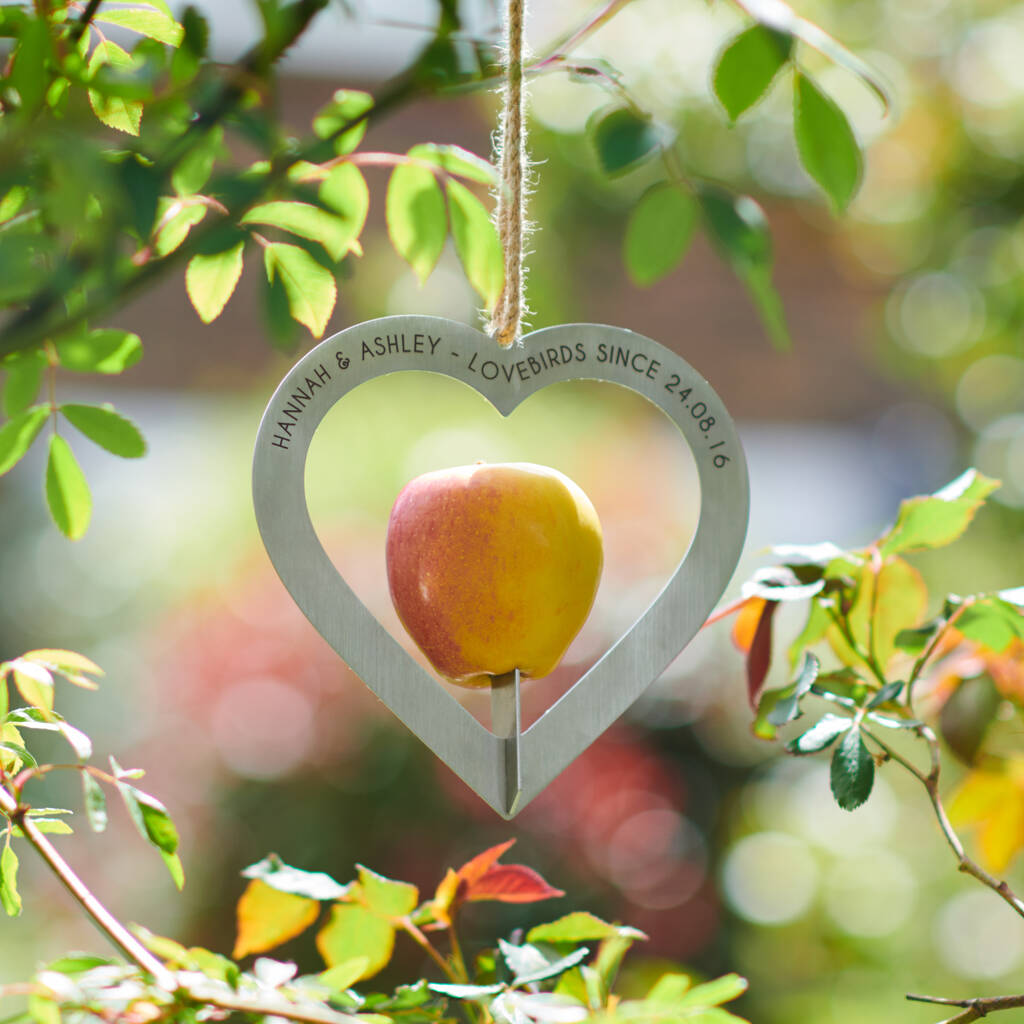 Personalised Heart Shaped Couples Metal Bird Feeder, 1 of 4
