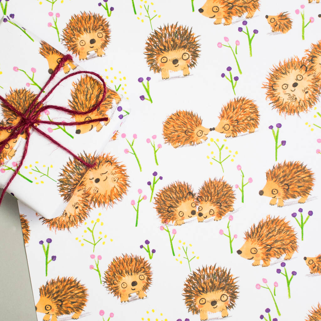 Hedgehog Gift Wrap Set Of Two Sheets