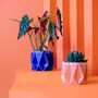 Two Origami Self Watering Eco Plant Pots, thumbnail 9 of 12