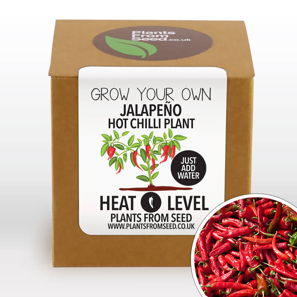 Complete Grow Your Own Jalapeño Chilli Plant Kit By Plants From Seed