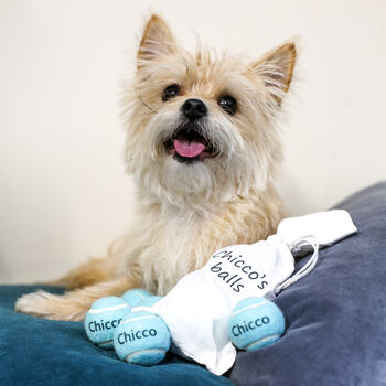 Personalised Tiny Dog Tennis Balls With Matching Bag, 9 of 11