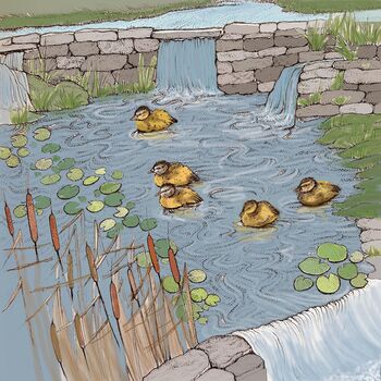'Ducklings On A Pond' Print, 3 of 3