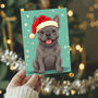 Grey French Bulldog Christmas Card, thumbnail 1 of 5