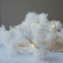 Cornflower Fairy Lights, thumbnail 3 of 8