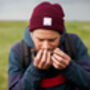 Coastal Foraging With Wild Food Feast For Bespoke Group, thumbnail 5 of 6