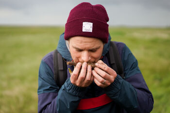 Coastal Foraging With Gourmet Wild Food Feast For Six, 5 of 6