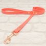 Waterproof Dog Collar And Lead Set Coral, thumbnail 3 of 3