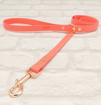 Waterproof Dog Collar And Lead Set Coral, 3 of 3