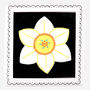 Hand Iced Narcissus December Birth Flower Letterbox Biscuit, thumbnail 1 of 5
