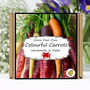 Gardening Gift. Rainbow Carrots Growing Kit, thumbnail 1 of 6