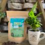 Fresh Coffee Beans And Coffee Plant Gift Set, thumbnail 4 of 12