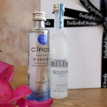 Premium Vodka Gift Set, 4 of 6