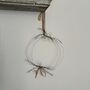 Handmade Wire Hanging Botanical Wreath, thumbnail 1 of 11