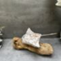 Multi Coloured Wooden Stingray On Teak Root Stand Gift, thumbnail 12 of 12