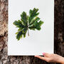 Oak Leaves A3 Fine Art Print, thumbnail 2 of 3