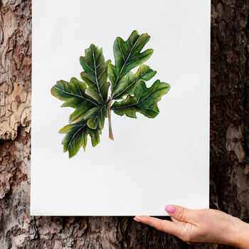 Oak Leaves A3 Fine Art Print, 2 of 3