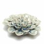 Ceramic Coral . Design Your Wall /Terrarium Garden, thumbnail 6 of 12