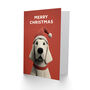 Cute Golden Retriever Dog Wearing Santa Hat Christmas Card, thumbnail 2 of 4