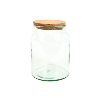 Small Half Open Glass Terrarium Bottle – Plant Display, 2 of 3