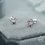 Turtle 16 G Flat Back Stud Earrings In Sterling Silver, thumbnail 5 of 10
