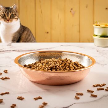 Solid Copper Pet Bowl With Bone Motif, 4 of 8