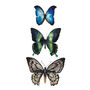 Butterfly Collection Greetings Card, thumbnail 2 of 3