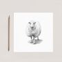 Tucana The Woolly Sheep Countryside Greeting Card, thumbnail 2 of 6