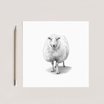 Tucana The Woolly Sheep Countryside Greeting Card, 2 of 6