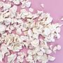White Wedding Confetti | Biodegradable Throwing Petals, thumbnail 1 of 3